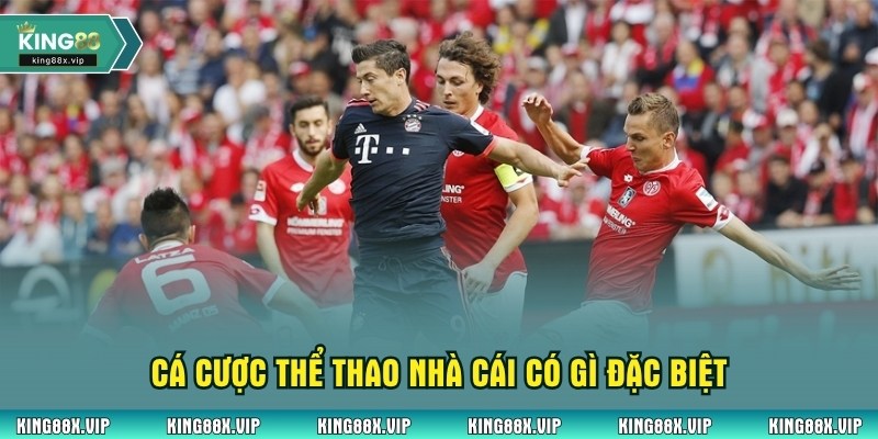 Cá cược thể thao nhà cái có gì đặc biệt